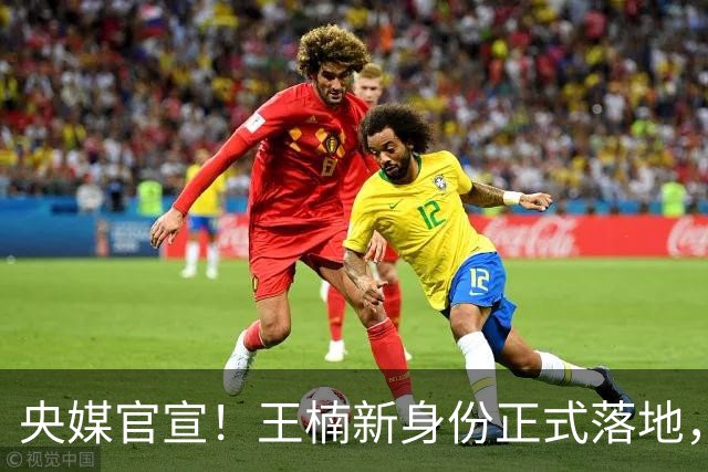 央媒官宣！王楠新身份正式落地，资产查封、被调查传闻，早有真相