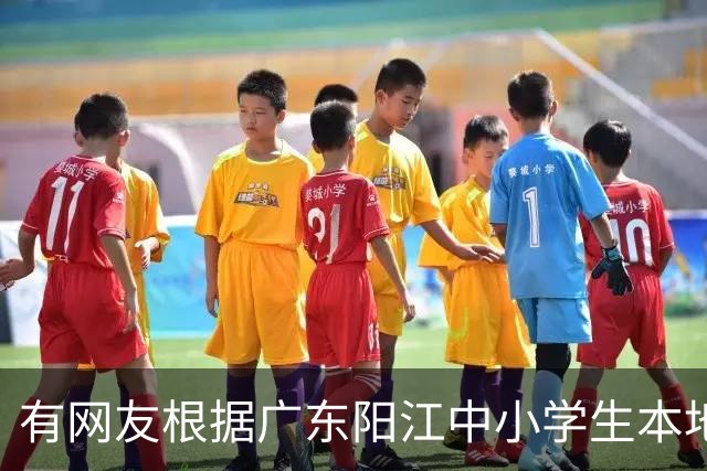 有网友根据广东阳江中小学生本地话交流1%，预测20年阳江话消亡